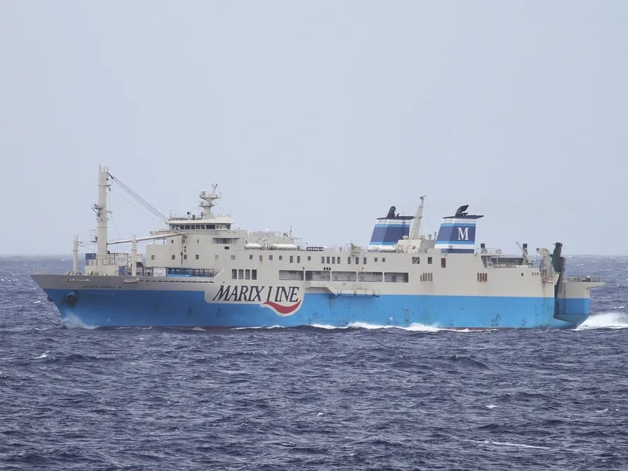 Queen Coral 8