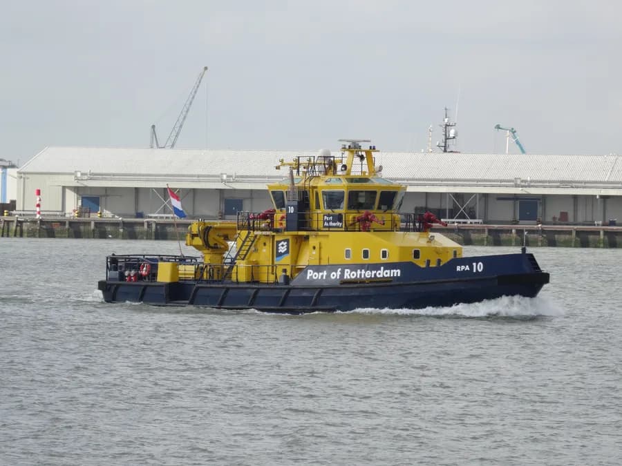 RPA 10
