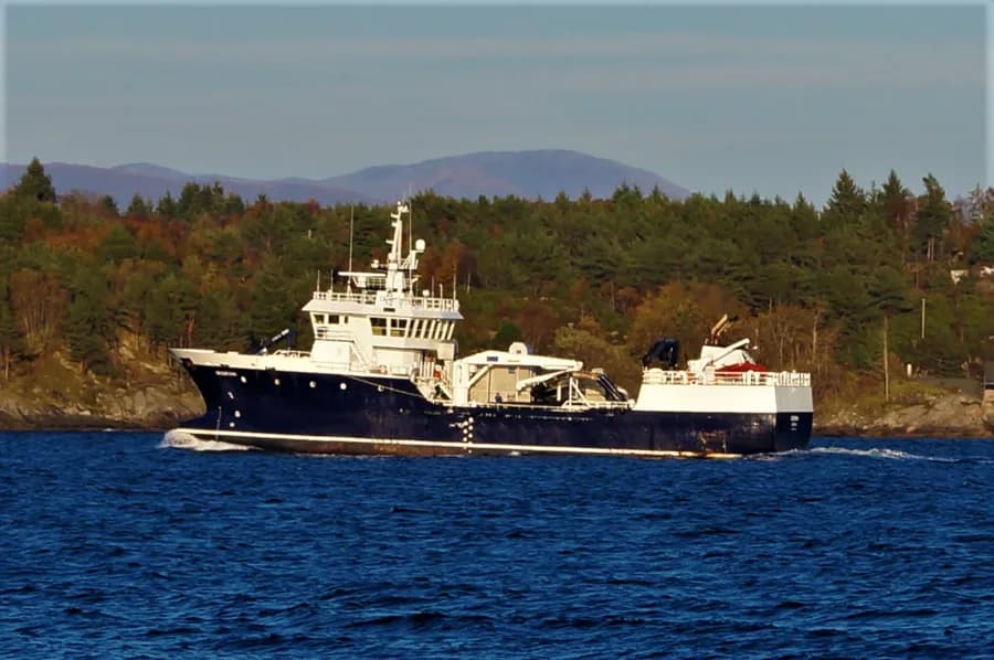 Seigrunn