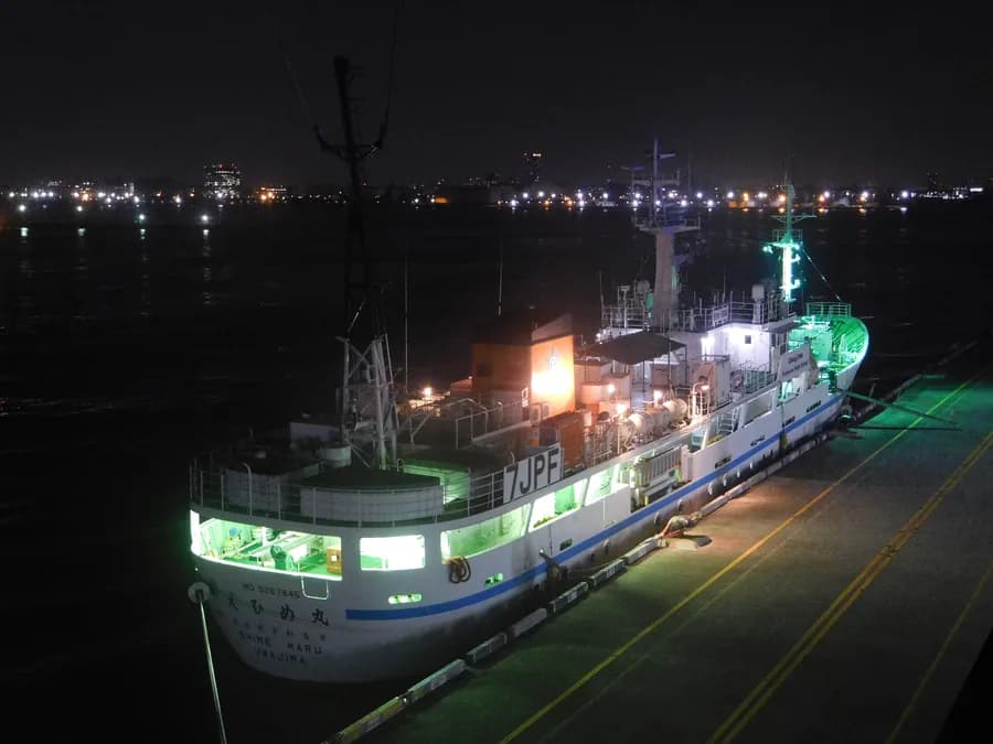 Ehime Maru