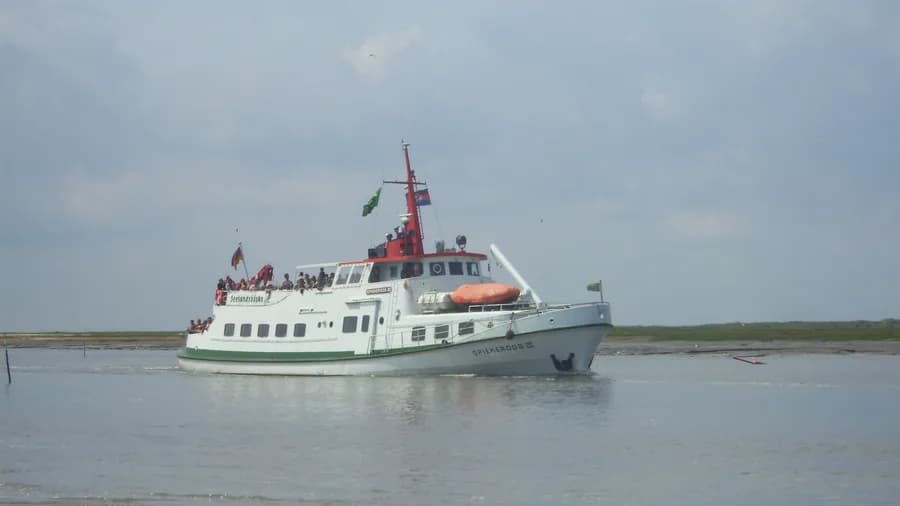 Spiekeroog III