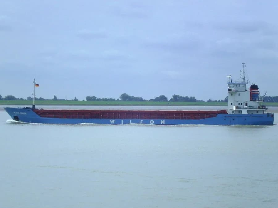 Wilson Gdansk