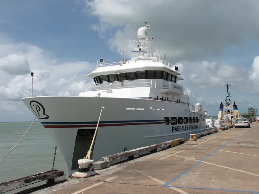 Paspaley 4