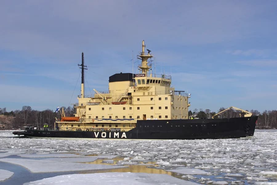 Voima