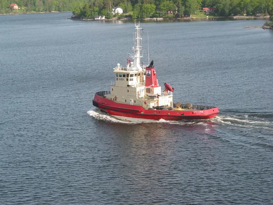 Viscaria