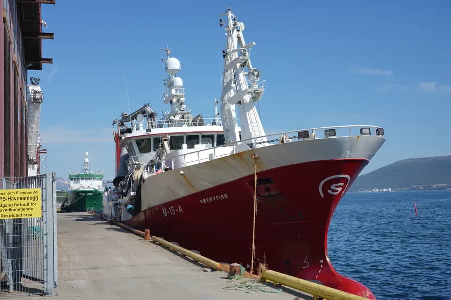 Sørøyfisk