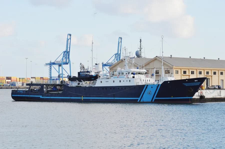 Petrel I