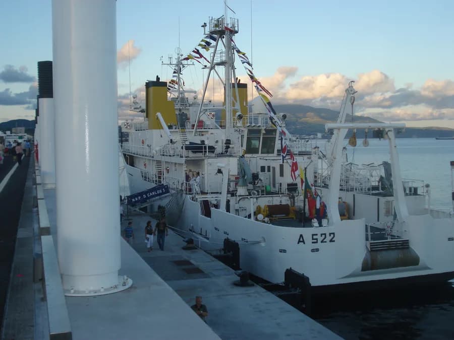 NRP Don Carlos I