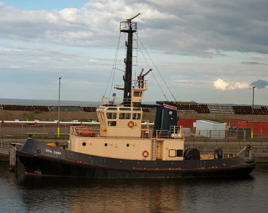Seal Carr