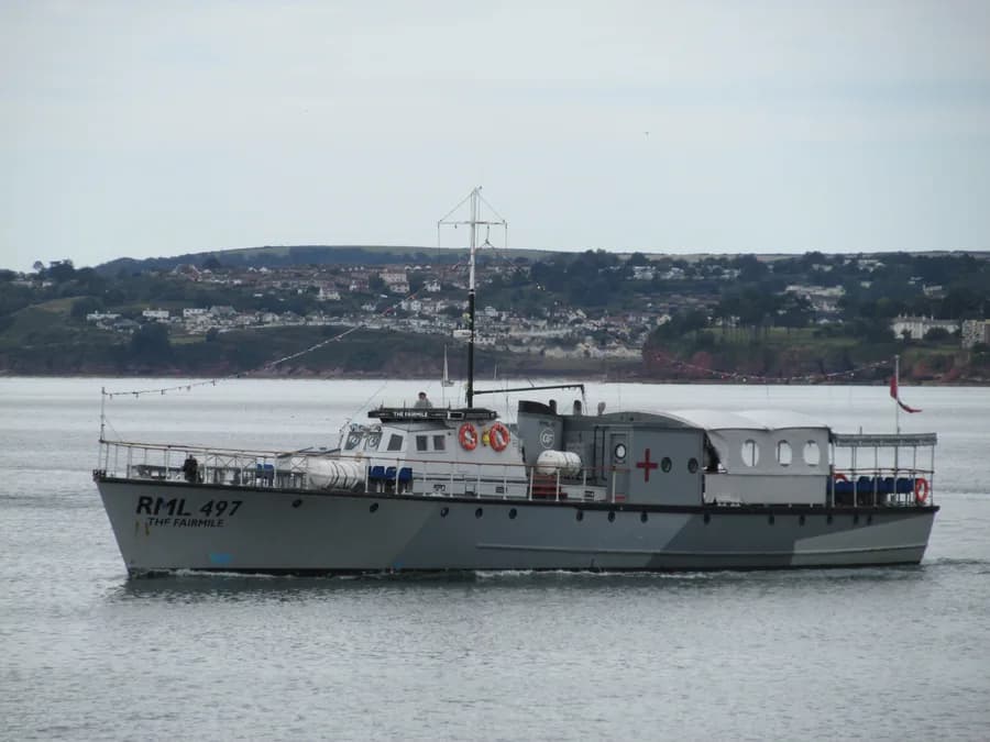 RML 497