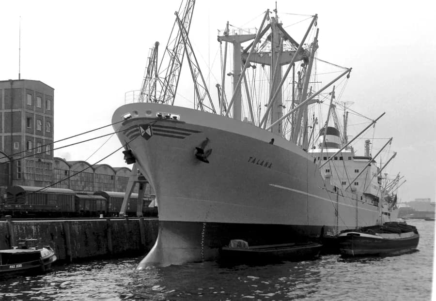 Talana