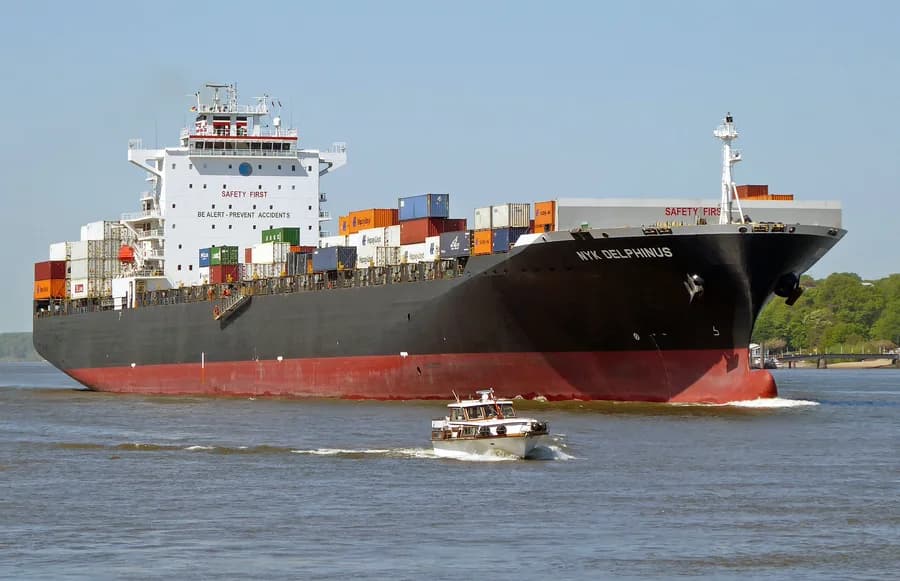NYK Delphinus
