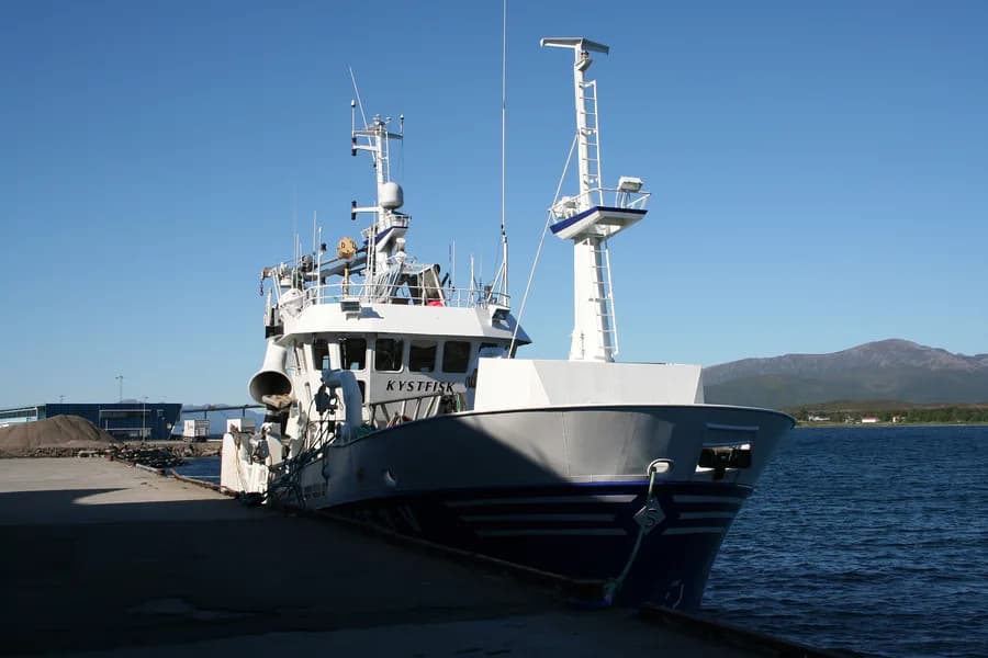 SF-3-V Kystfisk