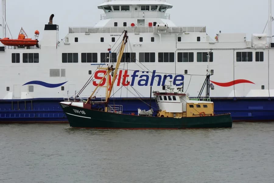 IMO 8509519