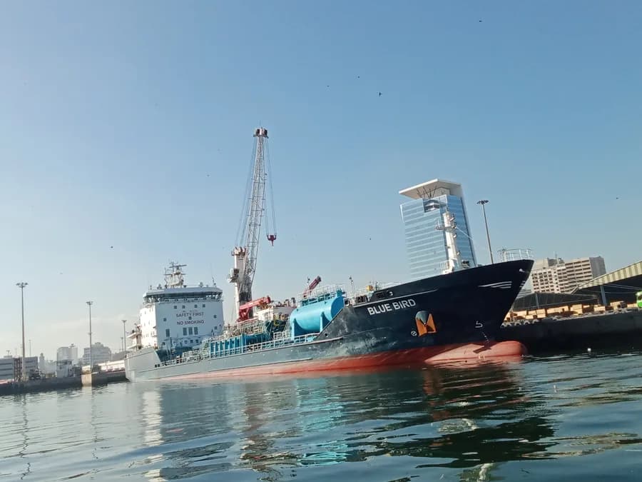 IMO 9527764