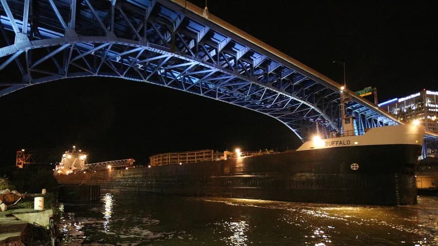 ALGOMA BUFFALO