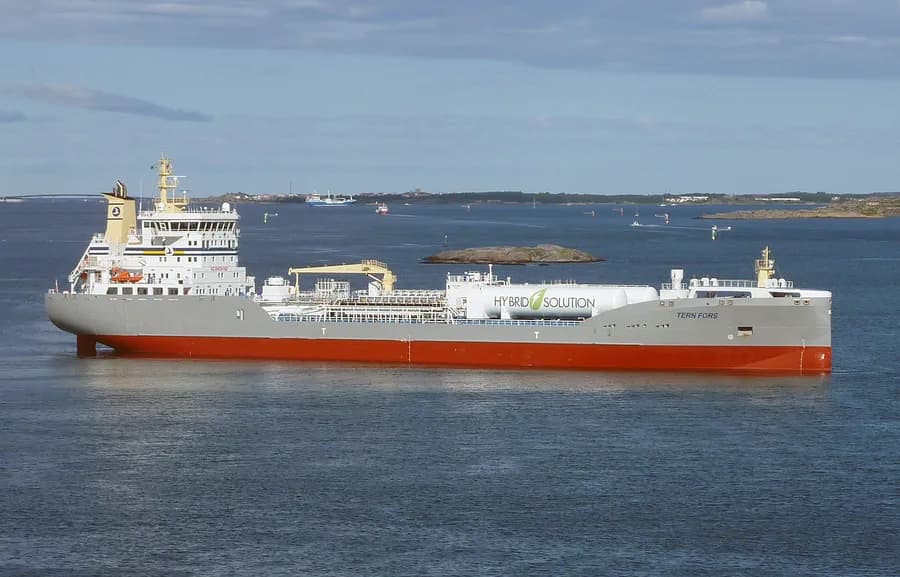 TERN FORS