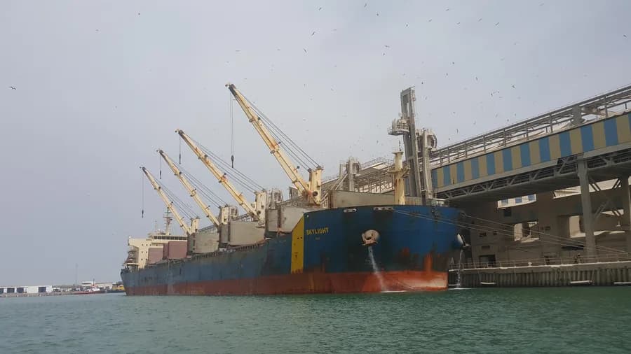 AE VENUS