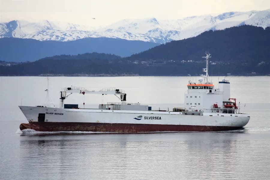 SILVER BERGEN
