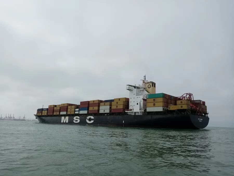 MSC MANDY III