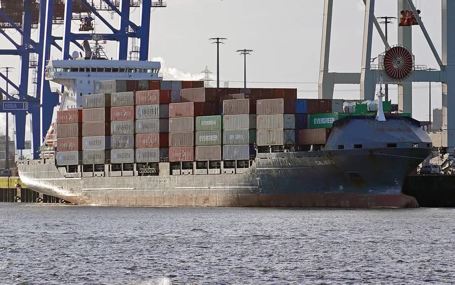 MSC CALISTA II
