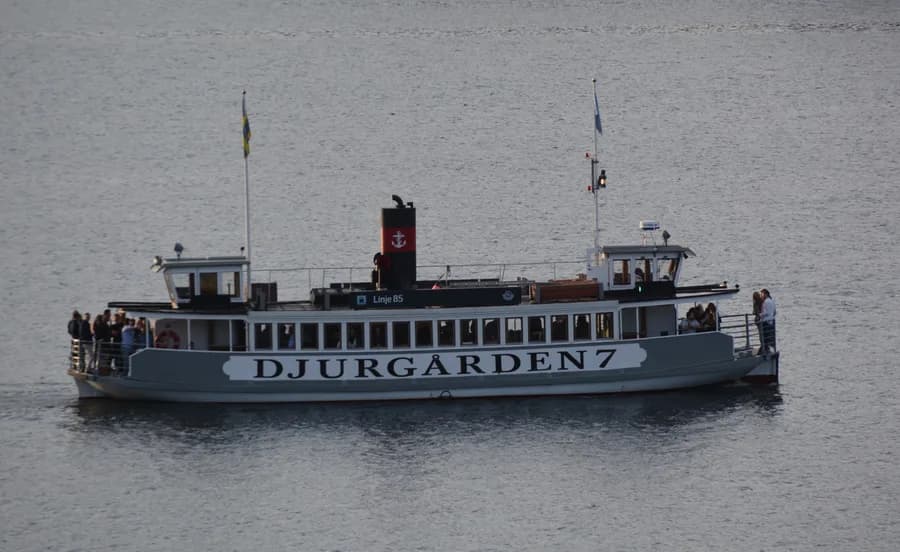 DJURGARDEN 7