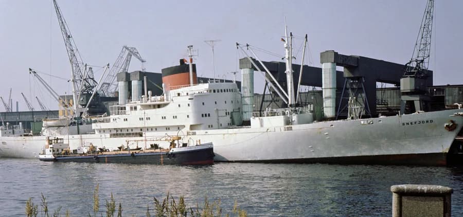 Snefjord