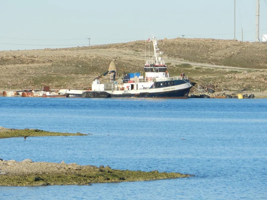 Tandberg Polar