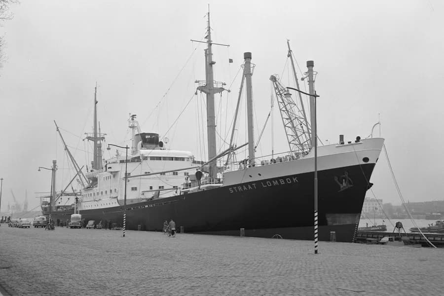 IMO 5342013