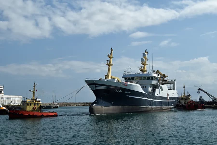 Havglans