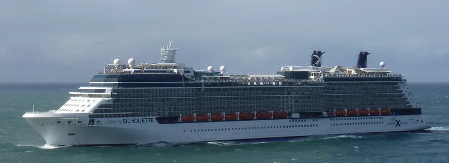 Celebrity Silhouette
