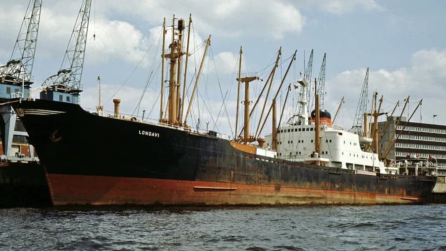 Longavi
