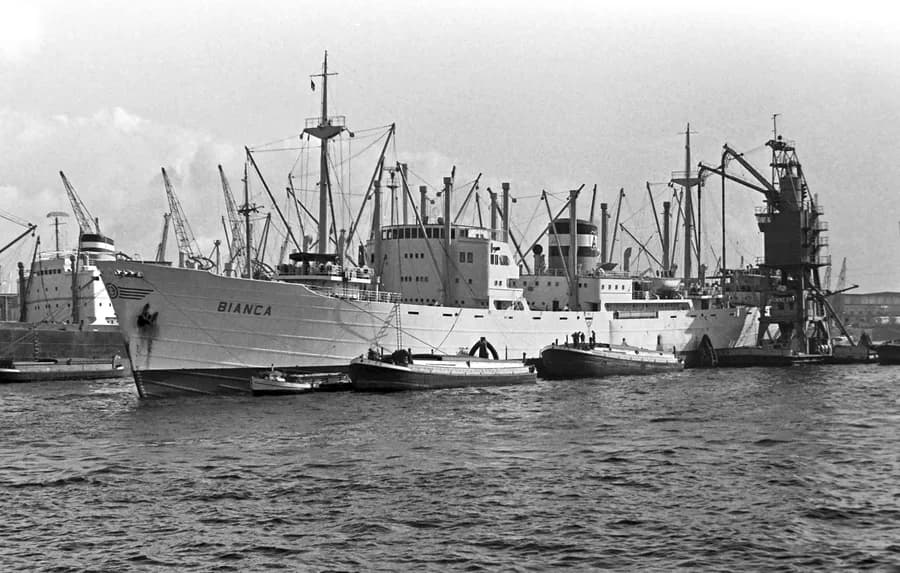IMO 5028796