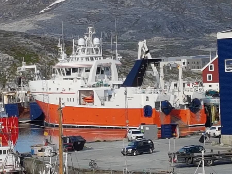 Tarajoq