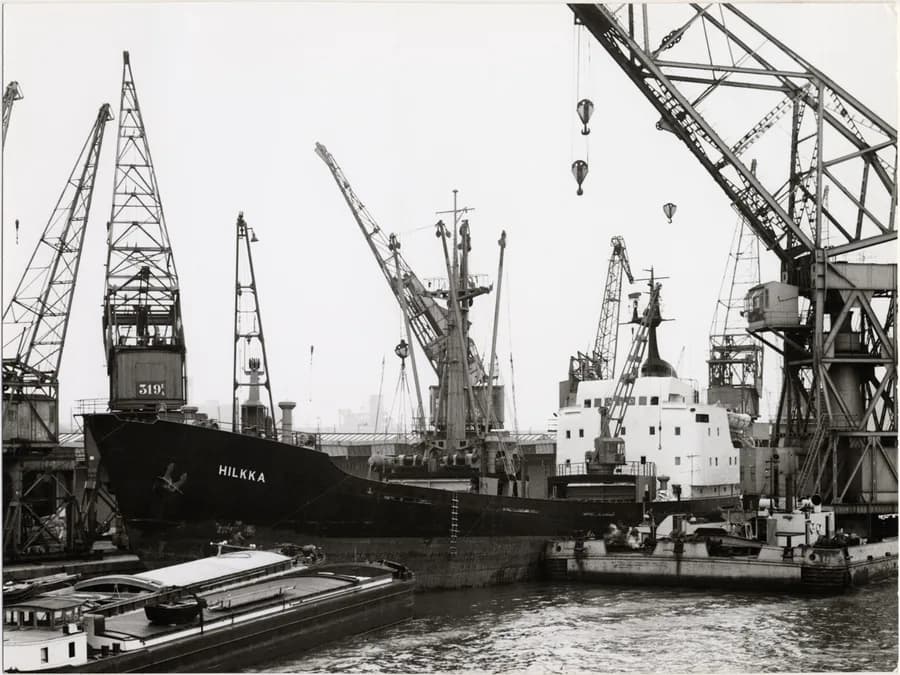 IMO 5420310