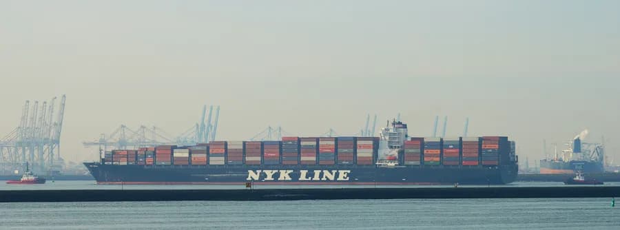 NYK Vega