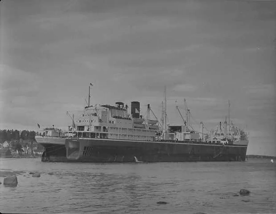 Balaena