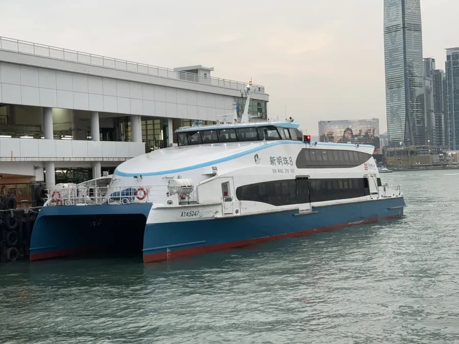 Xin Ming Zhu VIII