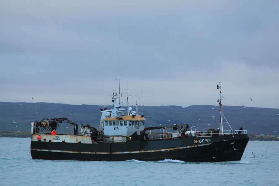 Hera ÞH 60