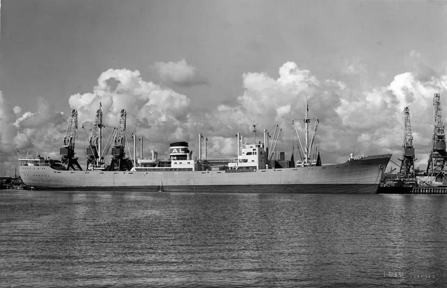 IMO 5032072
