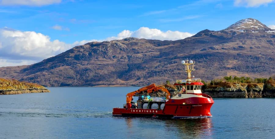 IMO 9826718