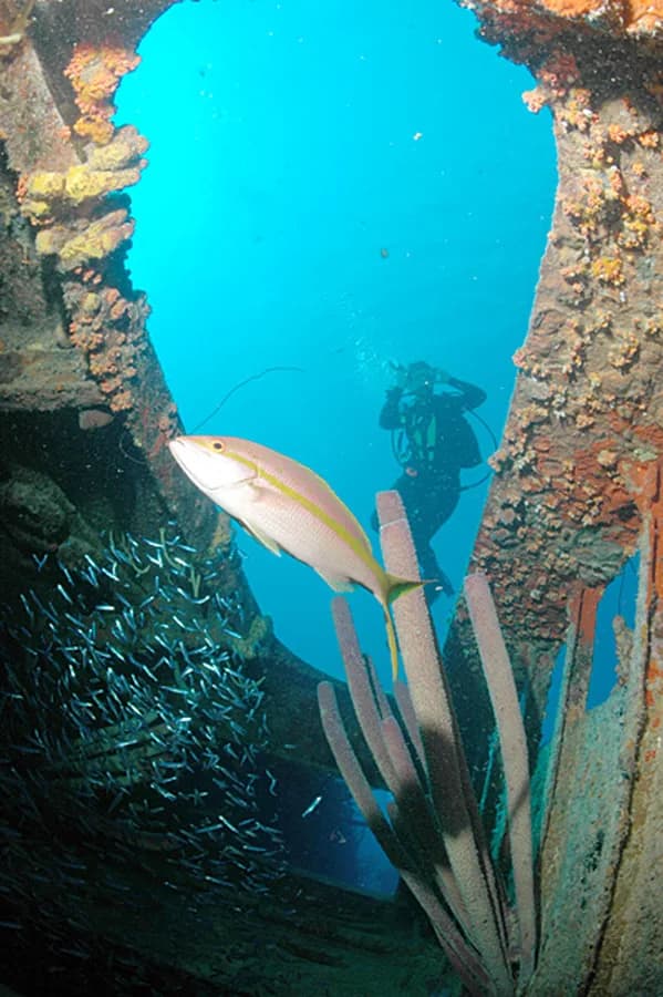 Hilma Hooker