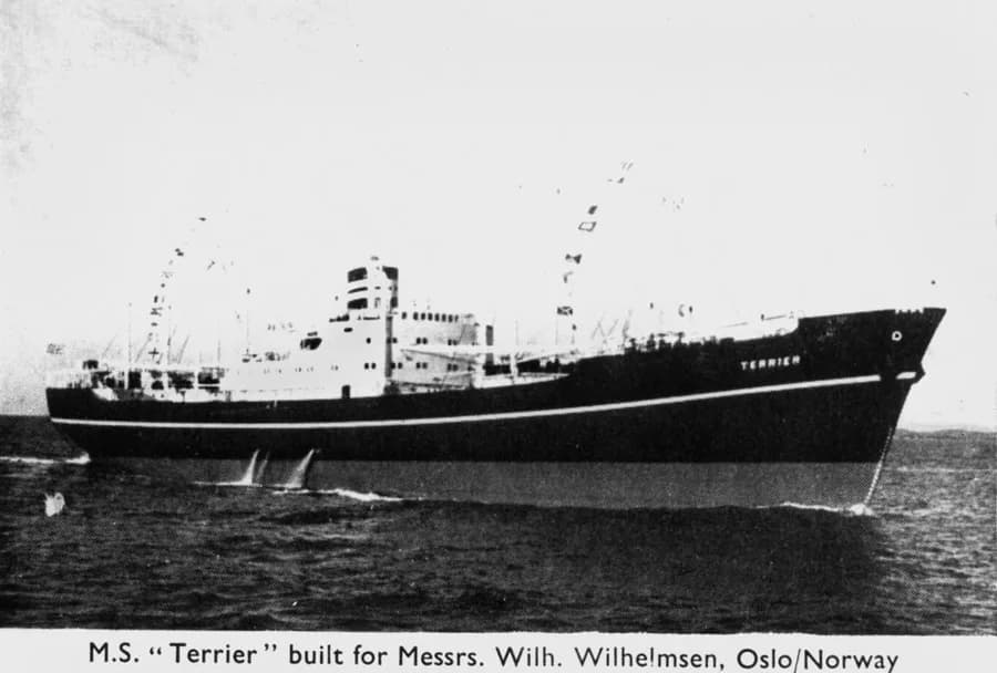 Terrier