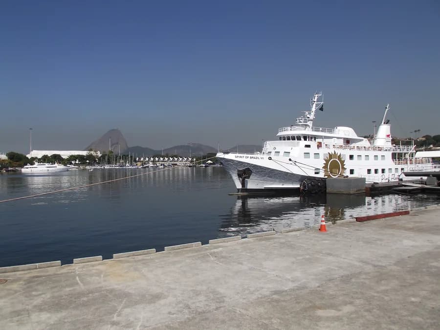IMO 7305629