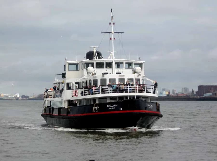 Royal Iris of the Mersey