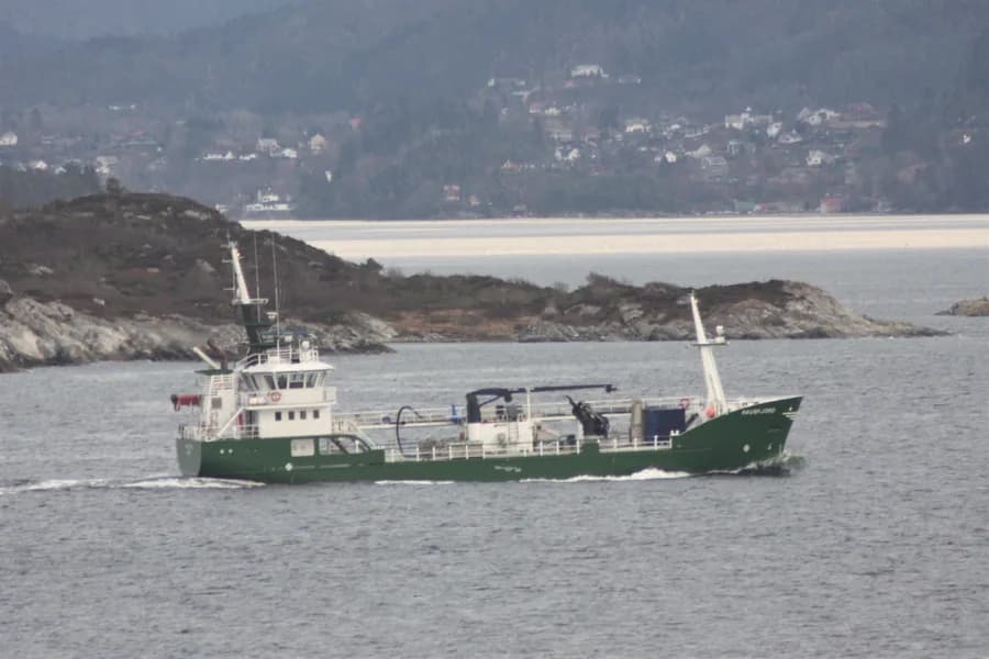Haugfjord