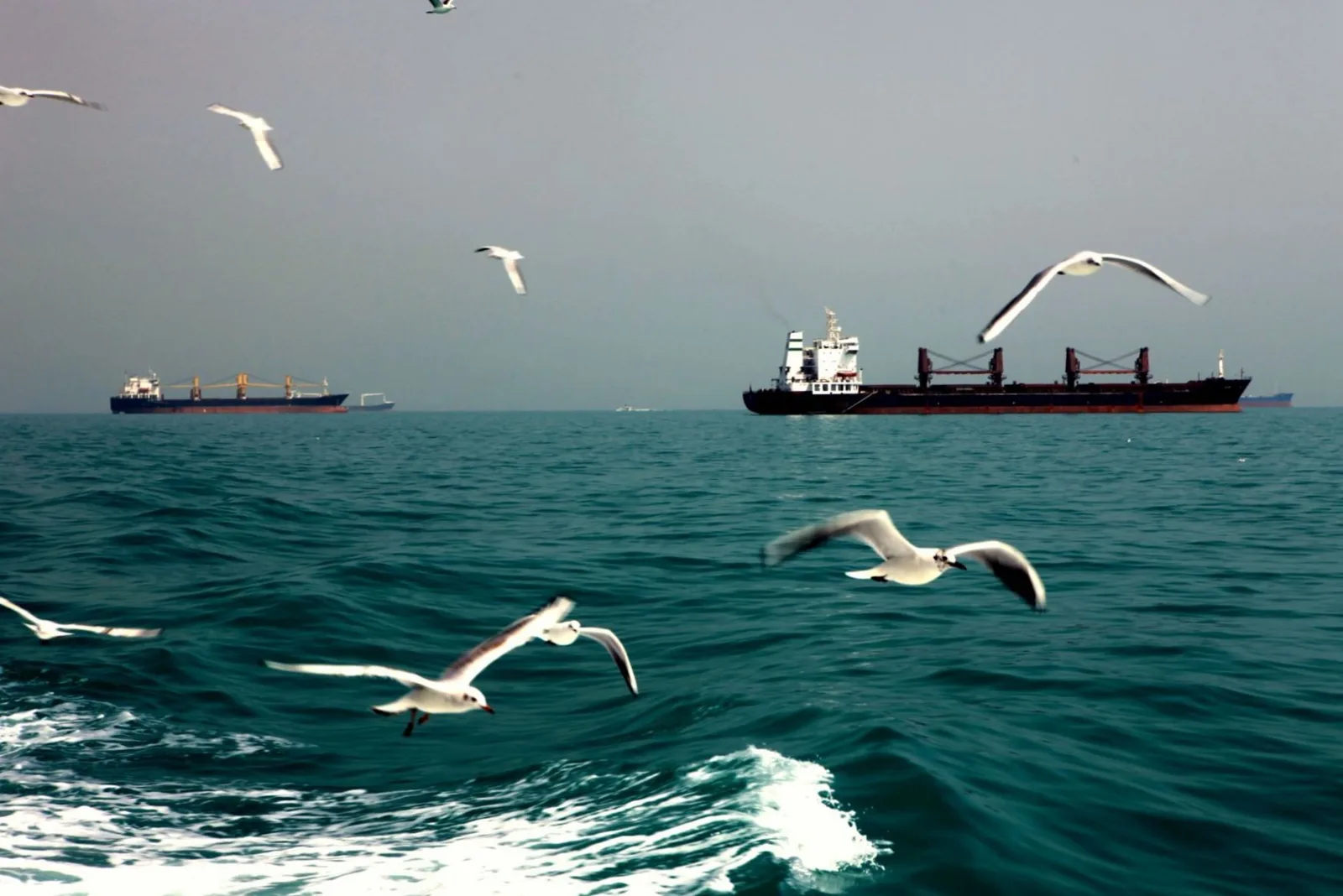 Hormuz Transit Shift Intensifies as Attacks Drive Vessels Toward Iranian-Controlled Waters