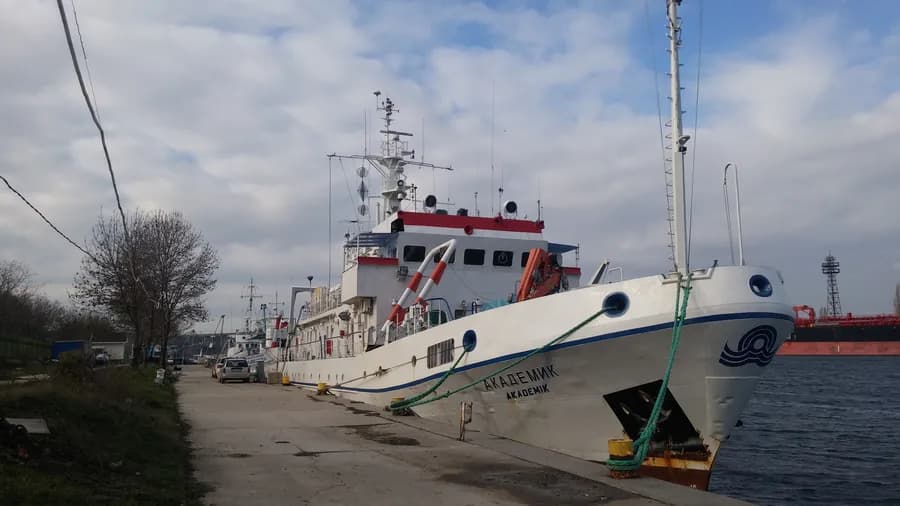 Akademik