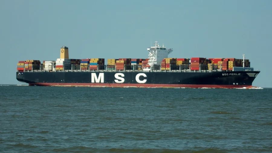 MSC Perle