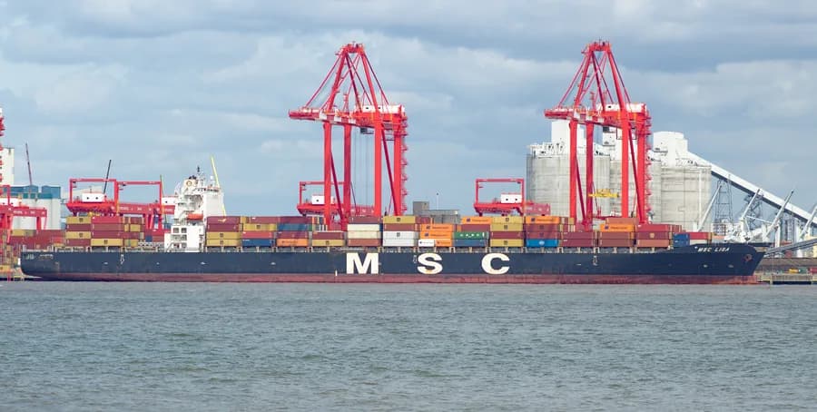 MSC Lisa